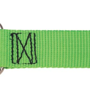 Metabo DropSecure D Ring Tethering Connection 6lb Rated