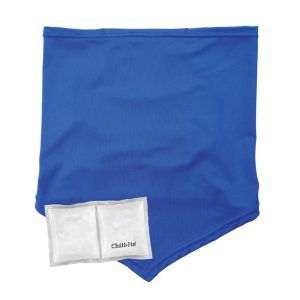 Ergodyne Chill Its 6482 Cooling Neck Gaiter Bandana with Pocket Blue & Ice Packs